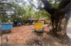 MCC move to build petrol pump at Mannagudda junction opposed